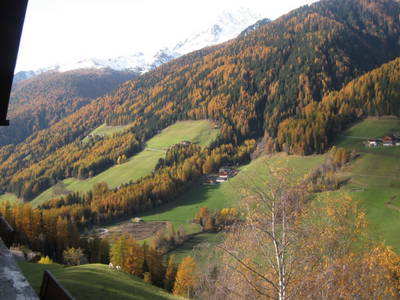 Bild 6 aus  Oberhöherhof