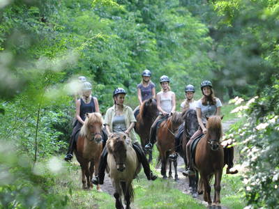 Bild 16 aus  LandSelection Rüsterhof