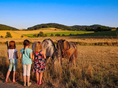 Bild 27 aus  Ferienhof Dingeldey