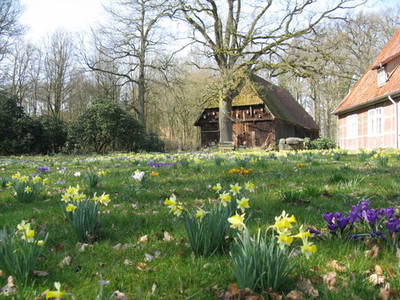 Bild 7 aus  Dreweshof Meßhausen - Familien und Gruppen - Urlaub in der Lüneburger Heide