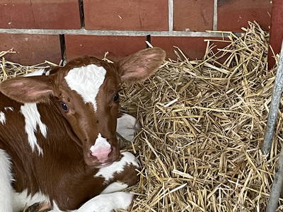 Bild 16 aus  Ferienwohnungen Meyerhoff