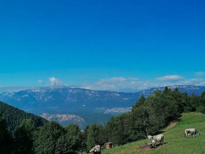 Bild 10 aus  Spörlhof