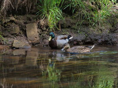 Bild 48 aus  LandSelection Drewes-Hof