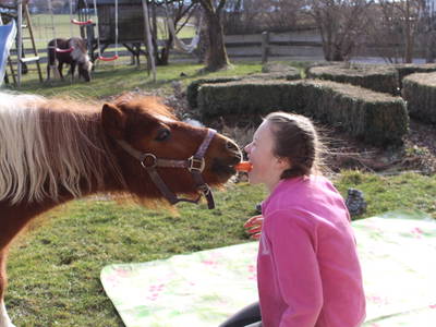 Bild 37 aus  Doasahof