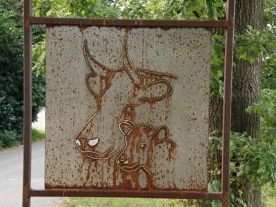 Bild 13 aus  Gripshof