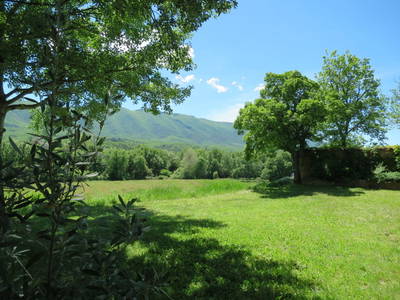 Bild 24 aus  Domaine de La Bastidonne (PROVENCE-LUBERON)