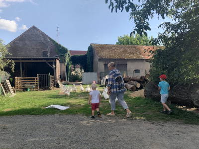 Bild 3 aus  Ferienhof Tillich - Erholsamer Landurlaub nahe dem Spreewald