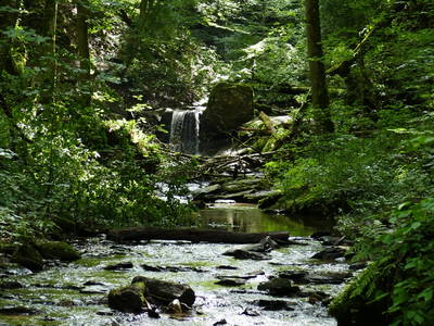 Bild 55 aus  LandSelection Grieshof