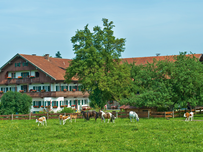 Bild 2 aus  Abrahamhof