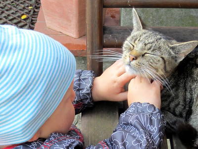 Bild 13 aus  Ferienhof Greggersen