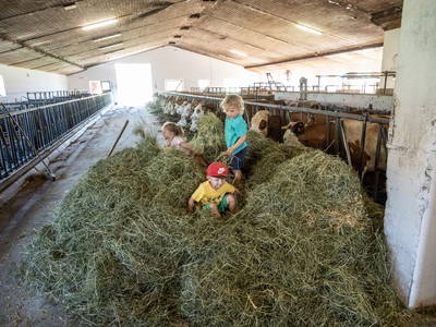 Bild 29 aus  Großrachlhof