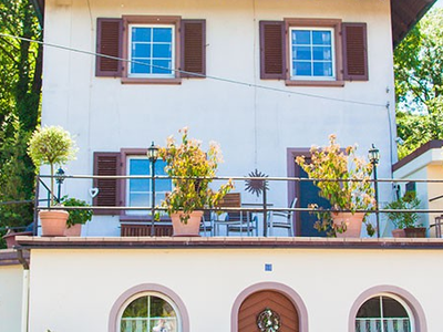 Bild 6 aus  Winzerhof Wiedemann