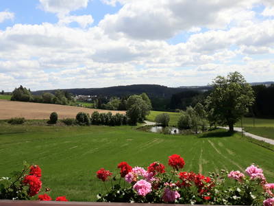 Bild 6 aus  Ferienhof Lang