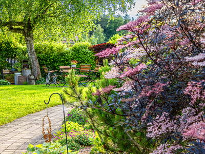 Bild 54 aus  Heumanns Blockhäuser am Wald