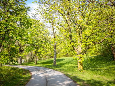 Weg auf den Wildberghof