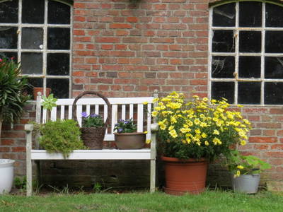 Bild 6 aus  Nase im Wind