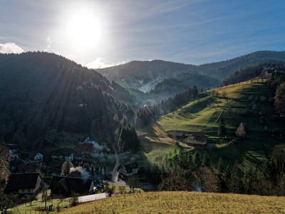 Bild 9 aus  Bierpeterhof