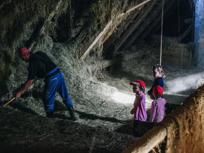 Bild 9 aus  BiolandHof Röttenbacher