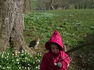 Bild 28 aus  Springbakgaard