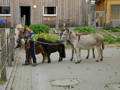 "Groß- und Begleittiere" vom Naturerlebnishof Helle