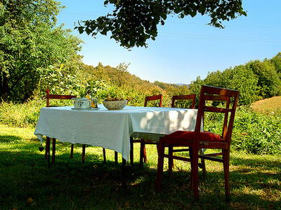 Bild 2 aus  Pokrzywnik 11