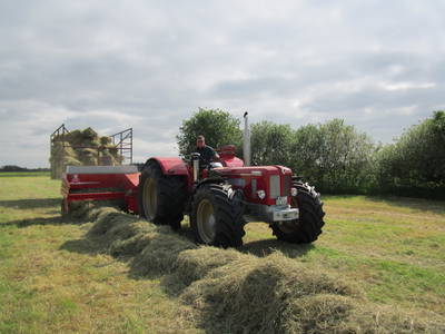 Bild 27 aus  Lindenhof