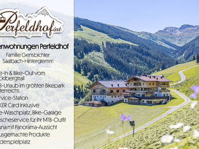 Sommerurlaub in den Bergen in Österreich