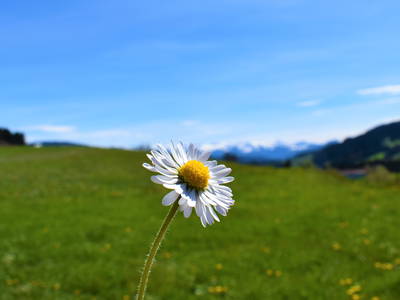 Bild 5 aus  Ferienhof zum Prinz