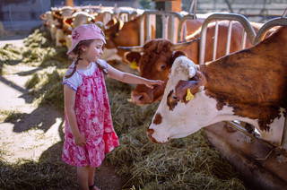 LandSelection *** Der kleine (Bio)  Bauernhof - Bauernhof Bio Heumilch; Tiere streicheln