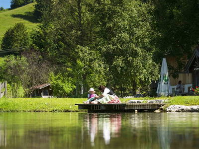 Bild 3 aus  Beim Melchern