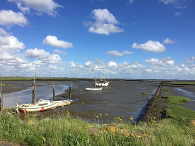 Bild 23 aus  Ferienhof Friedenshof