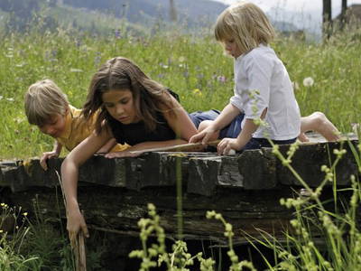 Bild 15 aus  Ban Rutzner (CIN Codex IT021011B5TZ9IFGUO)