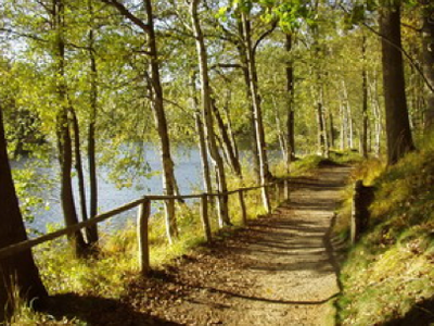 Bild 12 aus  Hof Junkernberg am See