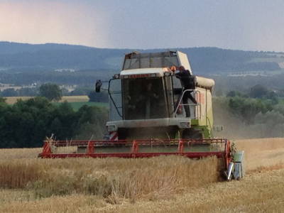 Bild 5 aus  Gutshof Wöbbel