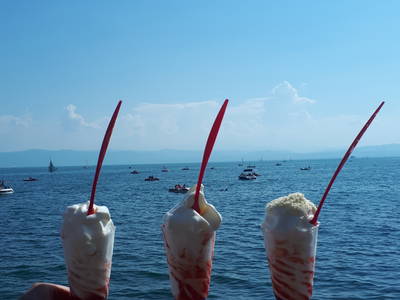 Bild 28 aus  Ferienhof Markhart