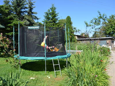 Bild 5 aus  Ferienhof Wolschendorf