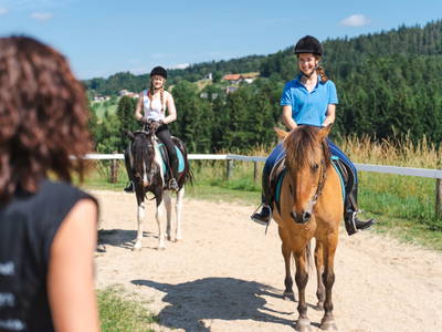 Bild 3 aus  "Forellen - Reiterhof" 5 Sterne Hof direkt am See