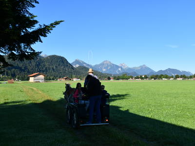 Bild 51 aus  Augustinerhof