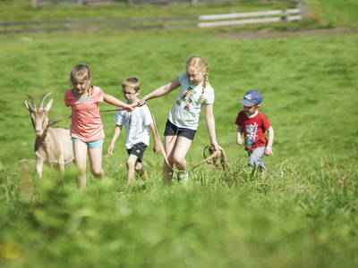 Bild 13 aus  Hof Gottenau