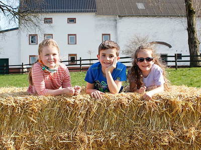 Bild 5 aus  Bernis Ferienhaus