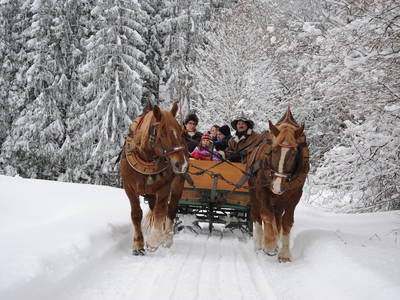 Bild 10 aus  Sammerhof