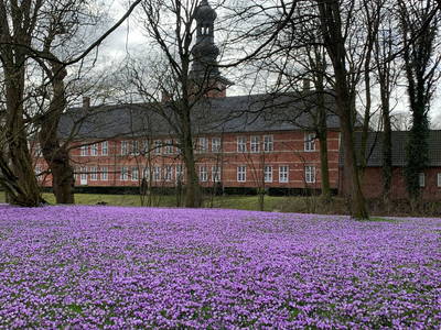 Bild 13 aus  Nordseefewo Lämmerblick
