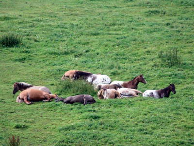 Bild 11 aus  Gut Friedenthal