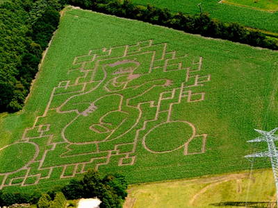 Bild 32 aus  Ferien & Freizeithof Meutstege