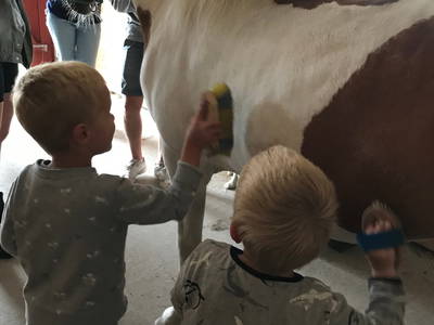Bild 9 aus  Nordgården- Ferien auf dem Land