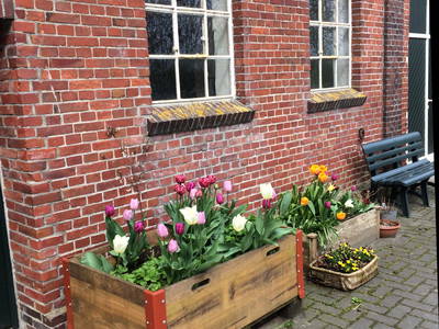 Bild 7 aus  Nase im Wind