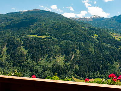 Bild 7 aus  Pitztaler Appartements