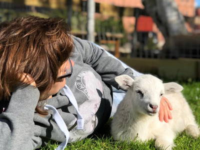 Bild 46 aus  Ferienhof Rauert