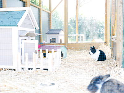 Bild 14 aus  Hofbude Fehmarn