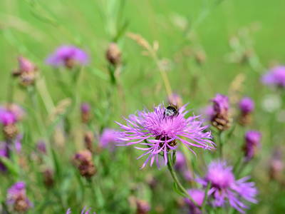 Bild 2 aus  Onboarding Anne No.3